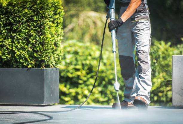 Best Sidewalk and Walkway Cleaning  in Norton Shores, MI