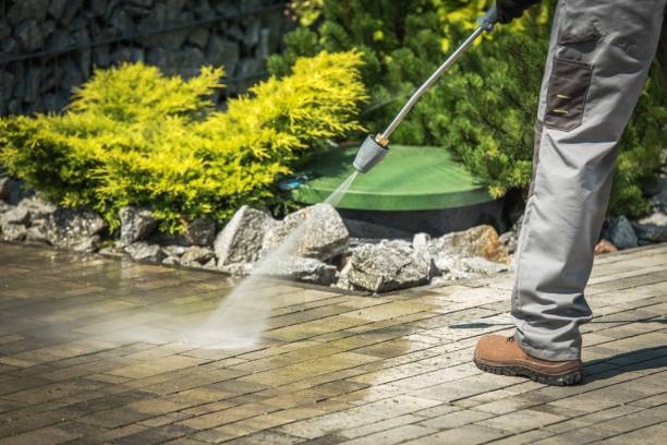 Best Pre-Holiday Cleaning  in Norton Shores, MI