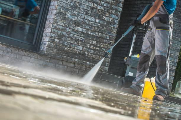 Best Roof Washing  in Norton Shores, MI