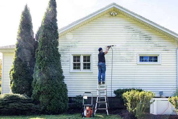 Best House Exterior Washing  in Norton Shores, MI